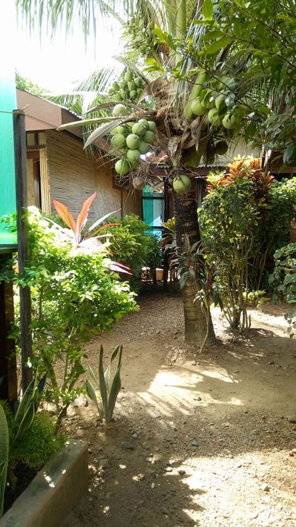 Devayn'S Inn เอลนิโด ภายนอก รูปภาพ